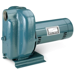 DS2HHG-53LMS2 Pentair Sta-Rite DS2 Centrifugal Pump