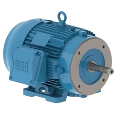 WEG 00736ET3E184JM-W22 Close-Coupled Pump Motor