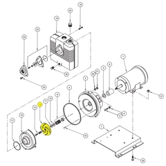 Barnes Pump Repair Part Number 019775