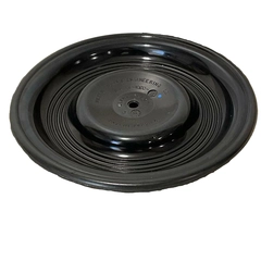 04-1020-54 Wilden Pumps Diaphragm, AODD Spare Parts
