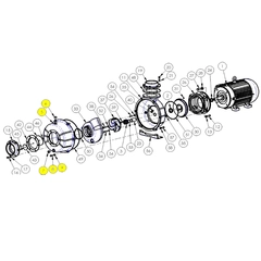 6200-001-98 AMT Pump Repair Parts & Kits, Casing