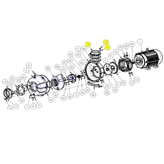6200-080-98 AMT Pump Repair Parts & Kits, Discharge Flange