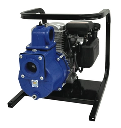 AMT Pump Model Number 2G4XACR