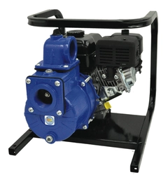 2G7XZCR AMT Pumps 2" NPT Solids Handling Pump by Gorman-Rupp