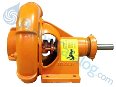 Berkeley Pumps Model B66161 Frame Mount Centrifugal Pump