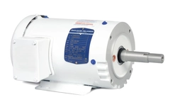 JMEWDM3554T Baldor AC Motor, Washdown Duty, Close-Coupled Pump Motors