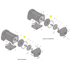 Berkeley Pump C3-181 Water System Parts