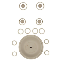 02-9805-58 Wilden Wet End Repair Kit for 1" Plastic Pumps
