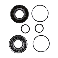 Grundfos Pumps 96796812 Ball Bearing Kit