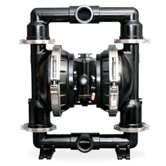 BD20A-BAS-SSK-A ARO 2" Band Clamp AODD Diaphragm Pump