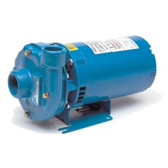1BF01034O Goulds 3642 Series Centrifugal Pump, Close Coupled