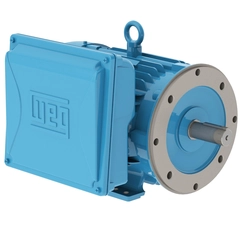 WEG 00518ES1E184TC-W22 General Purpose Motor