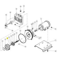 Barnes Pump Repair Part Number 019802