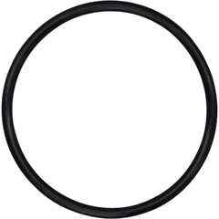04-1200-52-500 Wilden Pumps O-Ring AODD Spare Part