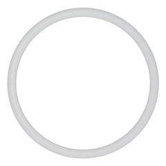 04-1370-55 Wilden Pumps O-Ring AODD Spare Part