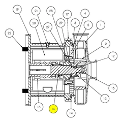 4410E-21TP-06 AMPCO Sanitary Pump Repair Part