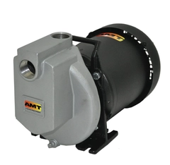 AMT Pump Model Number 429M-98