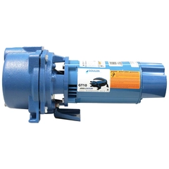 GT103TE Goulds Xylem GT IRRI-GATOR® Pump Performance Curve