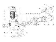 Hayward 1APSES39 A-Series LifeStar®MV Aquatic Pump