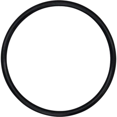 00-1070-51 Wilden Pumps O-Ring AODD Spare Part