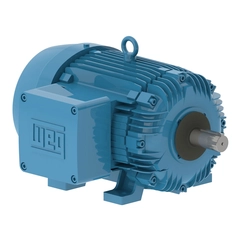 WEG 02018XT3E256T Explosion Proof Motor