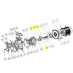 399A-010-98 - AMT Impeller Kit 399D-95