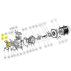 399C-080-95 - AMT Discharge Flange Kit 399D-95