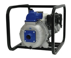 AMT Pump Model Number 2P5XAR