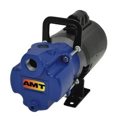 AMT Pump Model Number 2851-96