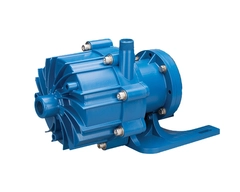 FTI MSDB2P Sealless Pump