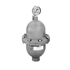 Neptune Pumps PD85SS-E Pulsation Dampener PD85SSE