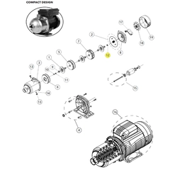 Goulds 13L134 WASHER 12.1X20.5X2 A316