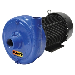 4201-95 AMT Straight Centrifugal Pump, 5 HP