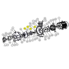 6200-300-90 AMT Pump Repair Parts & Kits, O-Ring/Gasket