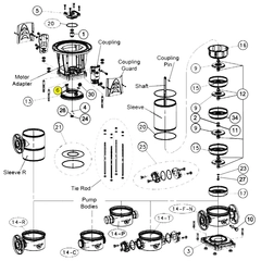 Goulds 6L59 ESV FILL PLUG - EPDM