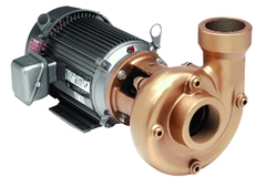 AMT Pump Model Number 4240-94