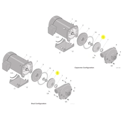 Berkeley Pump C105-214PA Water System Parts
