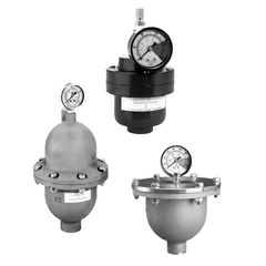 Neptune Pumps PD10SSH-E Pulsation Dampener PD10SSHE