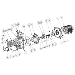 394E-080-95 - AMT Suction Discharge Kit 394G-95 394H-95