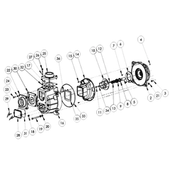 394H-K5 Pump End Kit AMT 394H-95