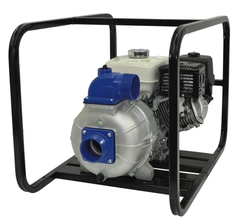 IPT Pump Model Number 4S13XZR
