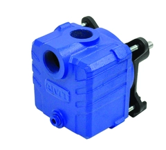 AMT Pump Model Number 2850-99 