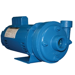310GA4-3/4-4.25 Crane Burks GA4-3/4 Series Pumps 116263