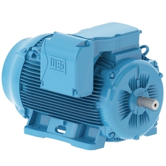 WEG 40012ET3G449T-W22 General Purpose Motor