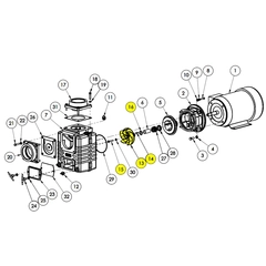 4872-010-98 AMT Pump Repair Part