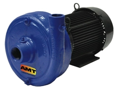 AMT Pump Model Number 420A-95