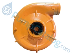 Berkeley Pumps Model B66895 Frame Mount Centrifugal Pump