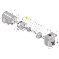 Berkeley Pump C2-66 Water System Parts