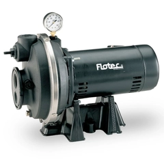 FP4332-08 Pentair Flotec Convertible Jet Pump
