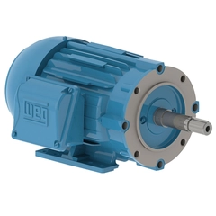 WEG 00218ET3E145JM-W22 Close-Coupled Pump Motor